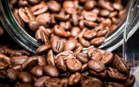 咖啡豆的种类及口味 咖啡豆知识介绍