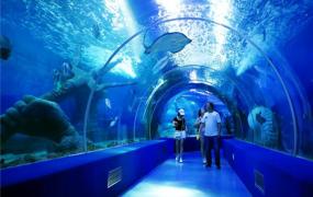 世界上最大室内海洋展馆 永泰海洋馆（海洋生物繁多）