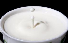 生牛乳是什么 生牛乳的功效与作用