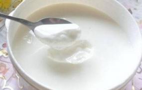 酸奶中的蛋白质的功效与作用