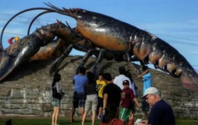 世界上最大的龙虾：体长1米，重达30斤(镇店之宝)