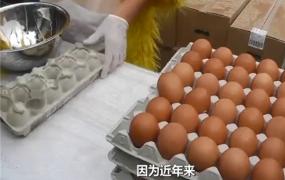 世界上最大的炒蛋 这场炒蛋背后的争议（62000个鸡蛋）