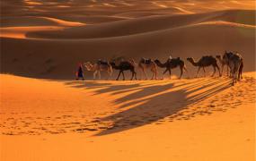 世界上最大的亚热带沙漠 撒哈拉沙漠（非洲南部）