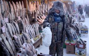 世界上最冷地方的民族 西伯利亚东北部的奥伊米亚康