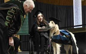 世界上学历最高的狗 拥有硕士学位的导盲犬科里奇