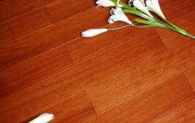 巧妙清洁木地板的方法
