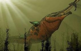 体型最大的两栖动物：锯齿螈，河中巨怪(长9米/重3吨)