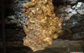 世界上最大的天然黄金 第一重量约60公斤堪称奇迹