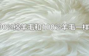 100%绵羊毛和100%羊毛一样吗
