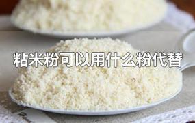 粘米粉可以用什么粉代替