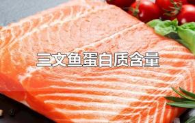 三文鱼蛋白质含量