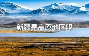新疆是高原地区吗