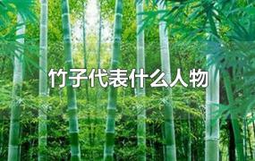 竹子代表什么人物
