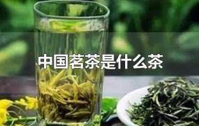 中国茗茶是什么茶