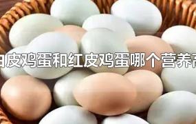 白皮鸡蛋和红皮鸡蛋哪个营养高