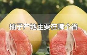 柚子产地主要在哪个省