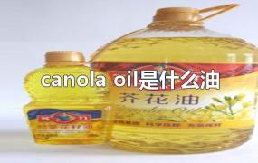 canola oil是什么油