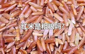 红米是粗粮吗?
