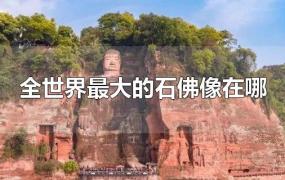 全世界最大的石佛像在哪