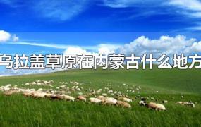 乌拉盖草原在内蒙古什么地方