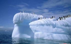 世界上最冷的沙漠：南极洲沙漠98%被冰雪覆盖