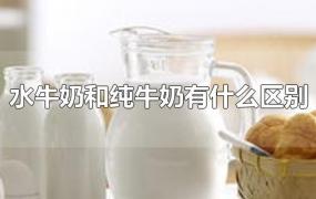 水牛奶和纯牛奶有什么区别