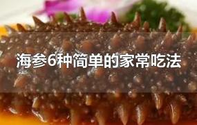海参6种简单的家常吃法