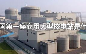 我国第一座商用大型核电站是什么