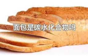 面包是碳水化合物吗