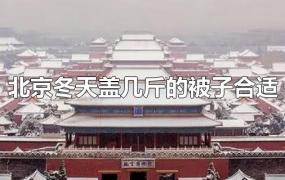 北京冬天盖几斤的被子合适
