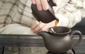 普洱茶的冲泡方法