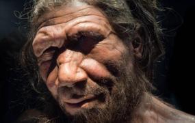 世界上最早的兽医：新石器史前人类(公元前3400)