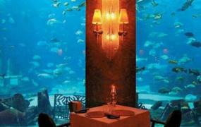 全球首个十星级酒店，迪拜海底酒店(60英尺海中/4万一晚)