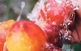 洗桃子的正确方法