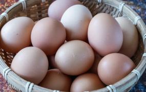 鸡蛋怎么储存不容易坏