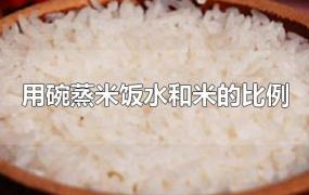 用碗蒸米饭水和米的比例