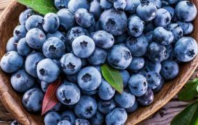 洗过的蓝莓可以冰冻吗