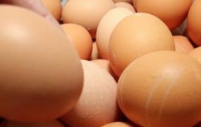 吃鸡蛋减肥吗