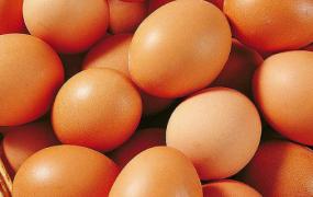 鸡蛋夏季能保存多久
