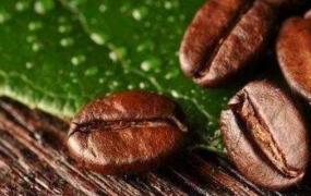咖啡豆能用料理机磨吗