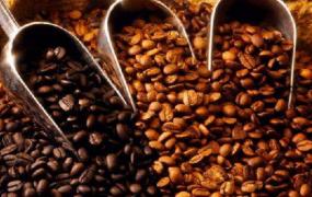 咖啡豆能直接煮着喝吗