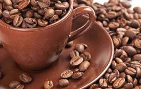 咖啡豆能直接泡吗
