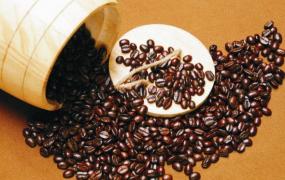 咖啡豆的种类及口味