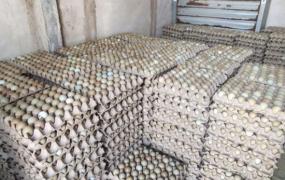 大批量鸡蛋的仓库保存方法