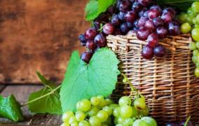 无籽葡萄对身体有害吗