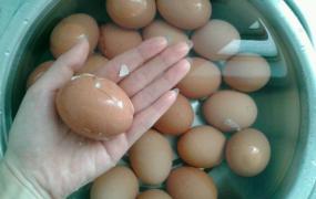 水煮鸡蛋可以放几天