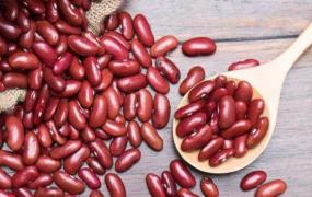 红豆的功效与作用禁忌