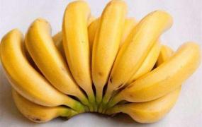 香蕉是酸性还是碱性食品
