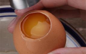 鸡蛋粘壳是什么原因