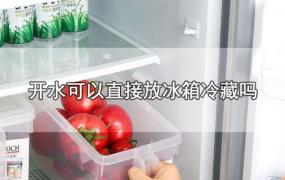开水可以直接放冰箱冷藏吗
